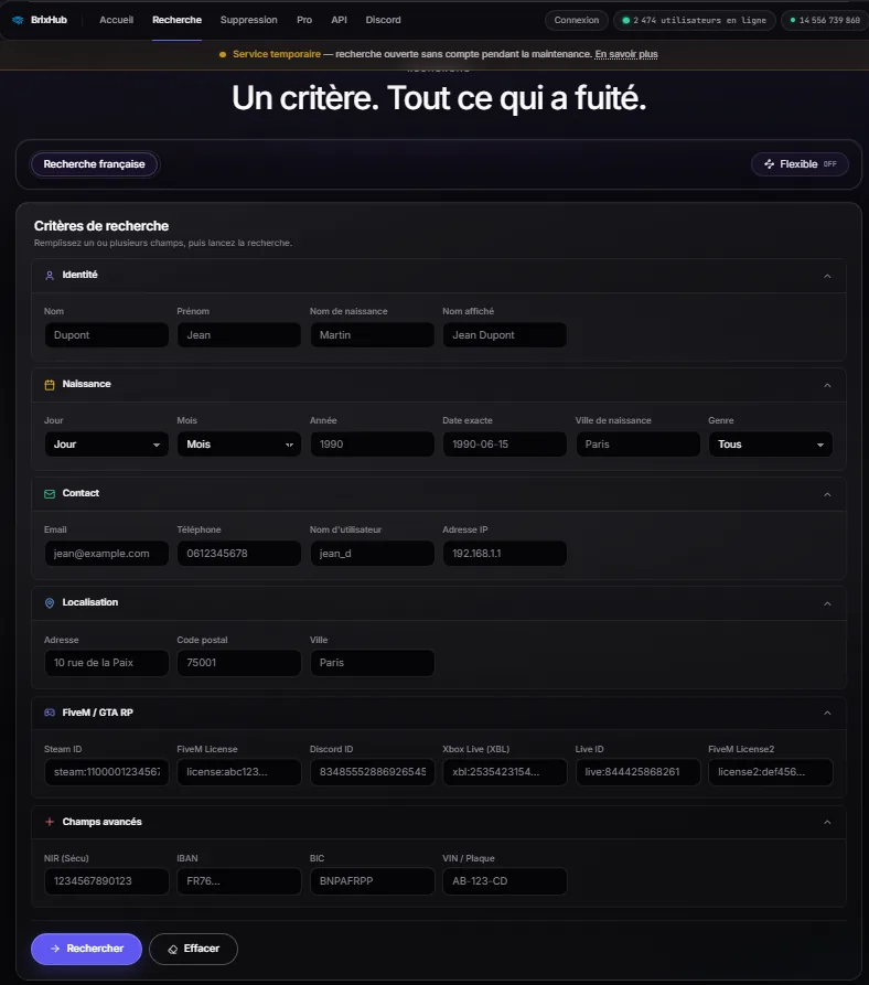 Capture d'écran du formulaire de recherche de BrixHub (identité, contact, localisation, identifiants de jeu, NIR, IBAN)